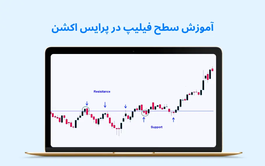 سطح فیلیپ در پرایس اکشن چیست؟