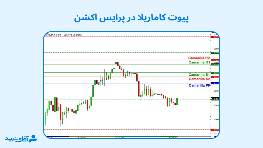 انواع پیوت در پرایس اکشن کدام است؟