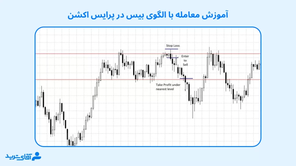 آموزش انواع بیس در پرایس اکشن