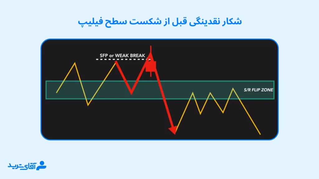 تشخیص سطح فیلیپ در پرایس اکشن با شکار نقدینگی