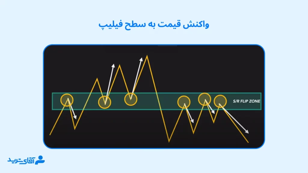 واکنش قیمت به سطح فیلیپ در پرایس اکشن