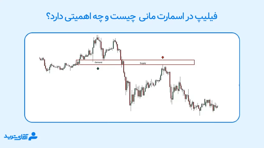 فیلیپ در اسمارت مانی چیست