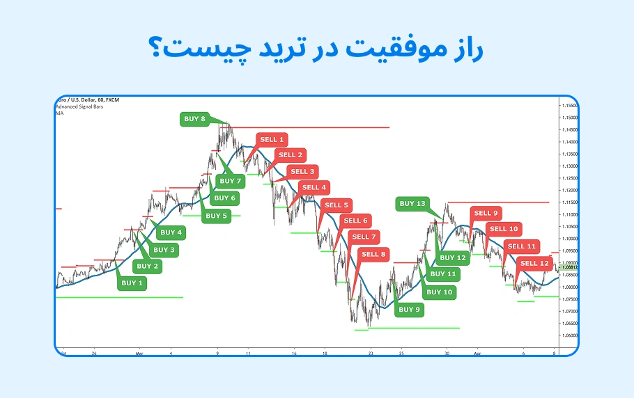 راز موفقیت در ترید و معامله گری چیست؟